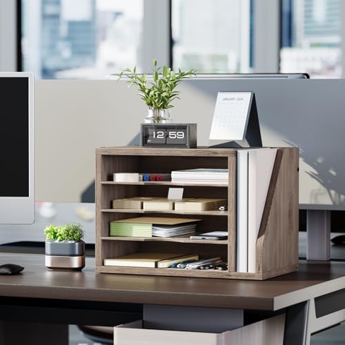 Creso HOM Desk File Organizer