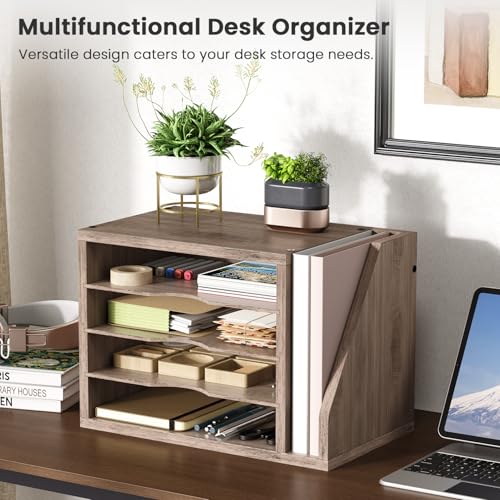 Creso HOM Desk File Organizer