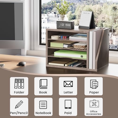 Creso HOM Desk File Organizer